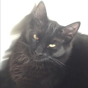 Meet your Posher, Cindy